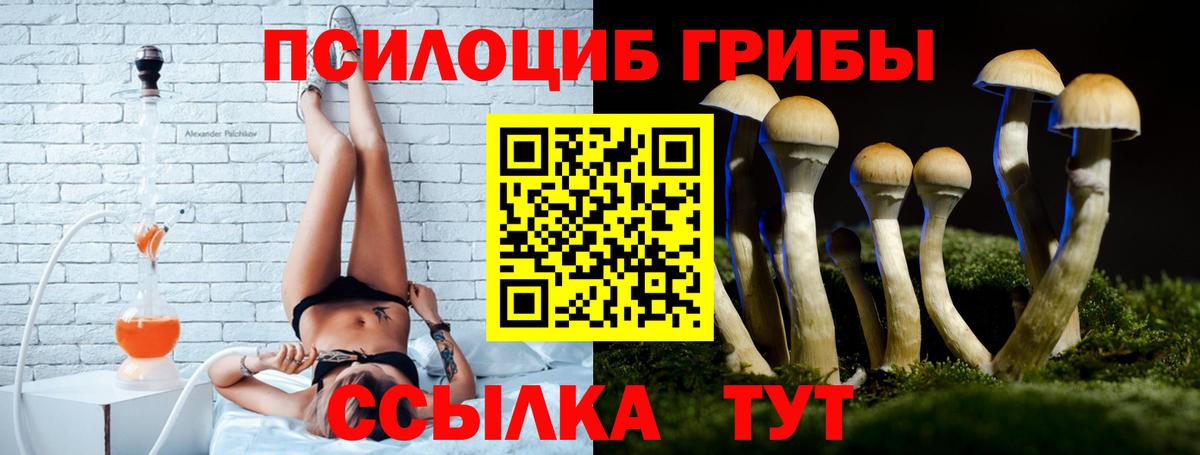 дарнет шоп  Псилоцибиновые грибы GOLDEN TEACHER  Вход с VPN  Дзержинск 